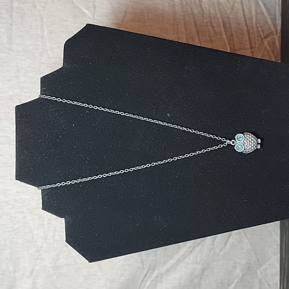 Owl Pendant Necklace in Silver Tone